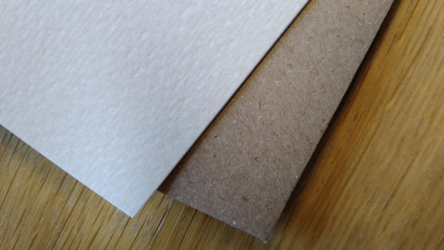 Son Birthday Card - Dog With Beer And Crisps