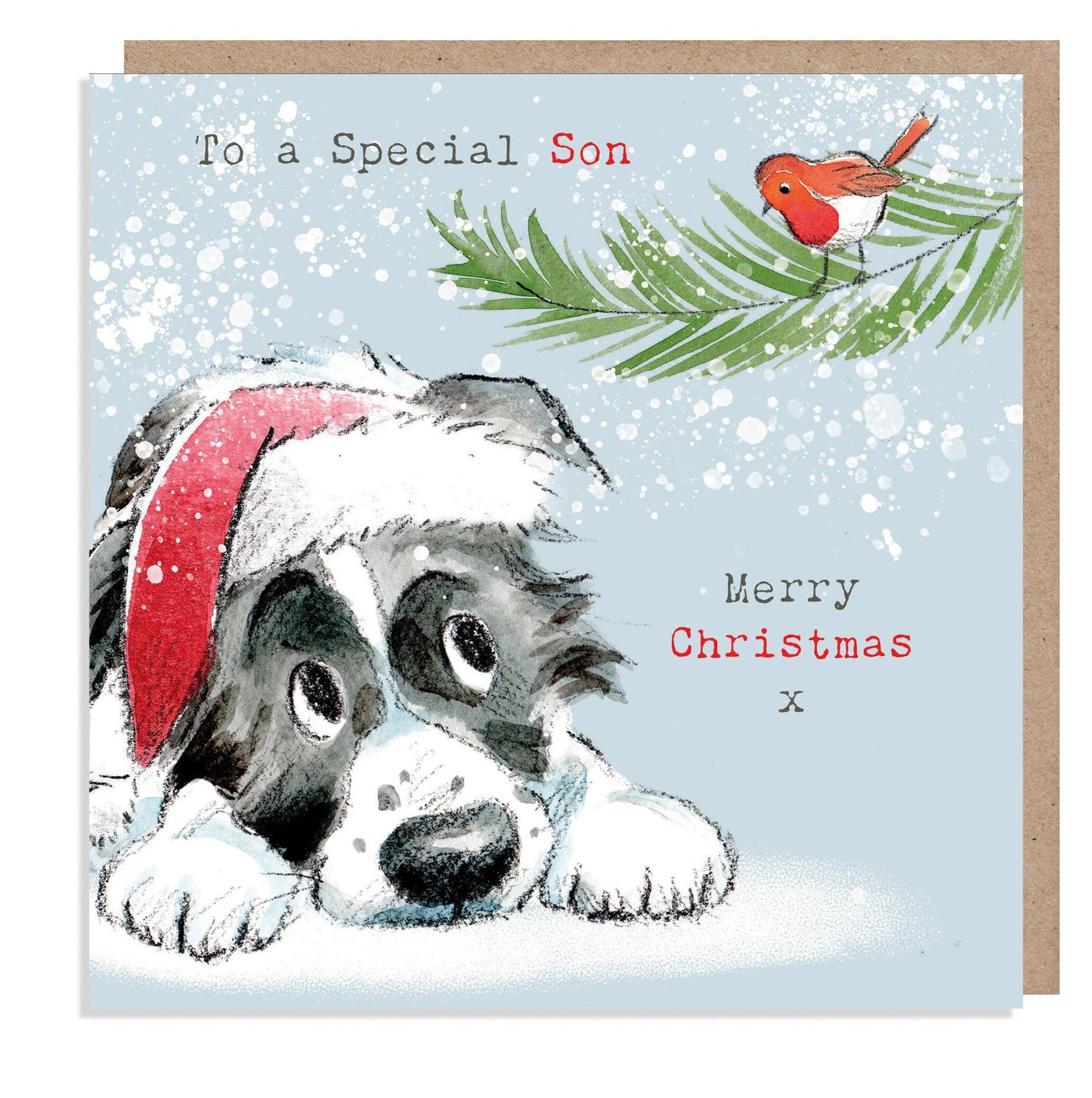 Christmas Card - To A Special Son - Border Collie