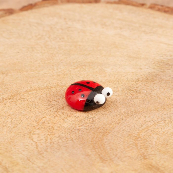 Glass Ladybird