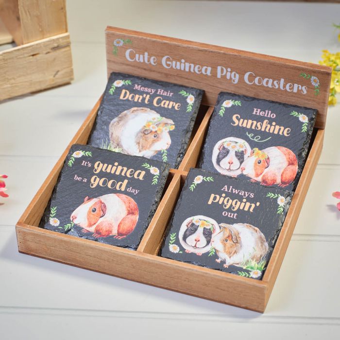 GUINEA PIG SLATE COASTERS 4 ASSTD