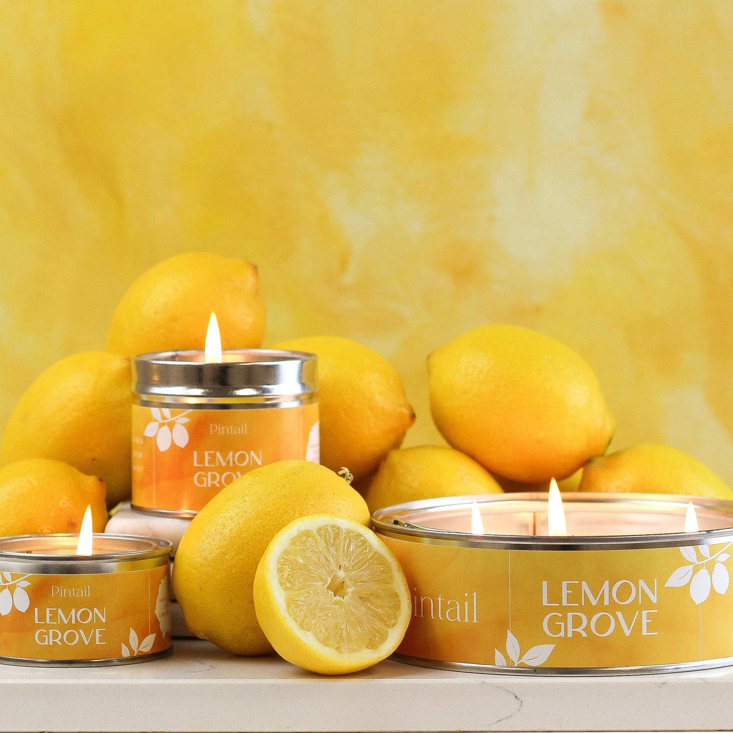 Lemon Grove Paint Pot