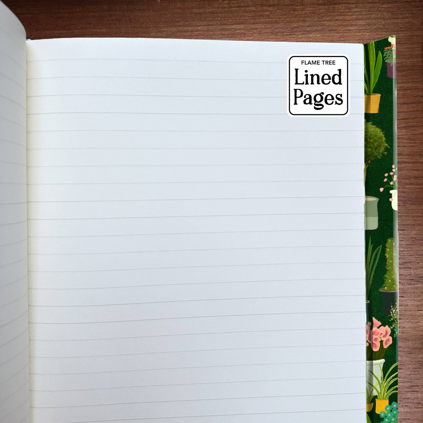 Katherine Quinn: Plant People (Foiled Journal): Flame Tree Notebooks