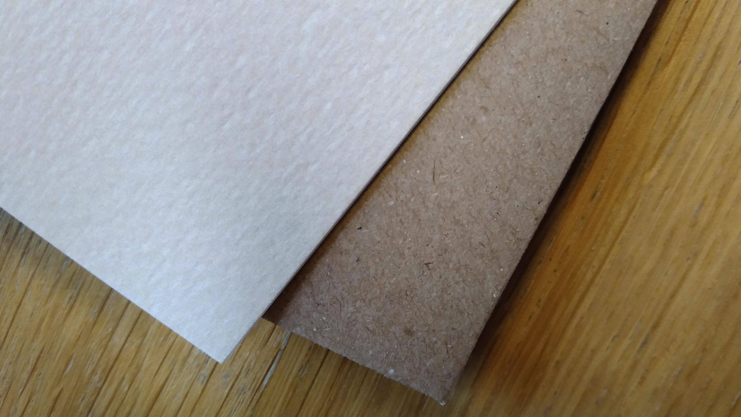 Birthday card - Seagull - 'By the Seashore' range - SEA03