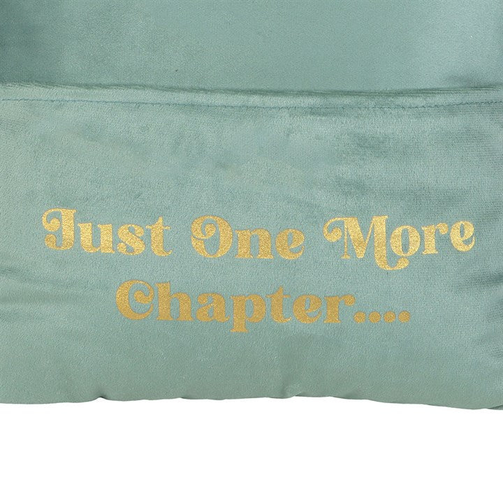 Just one more chapter cushion
