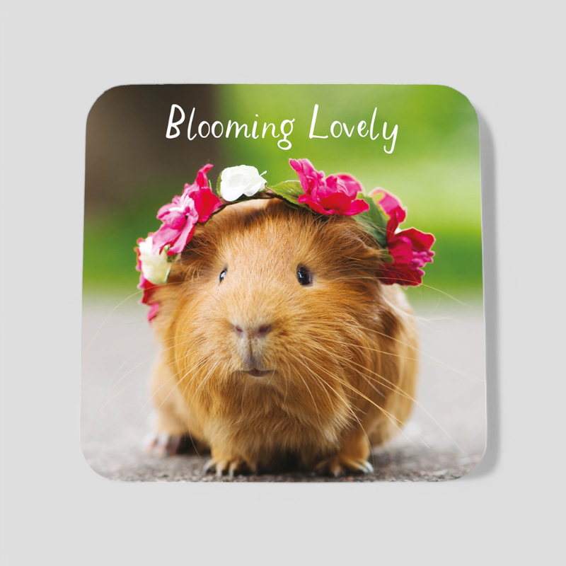 Blooming Lovely Coaster