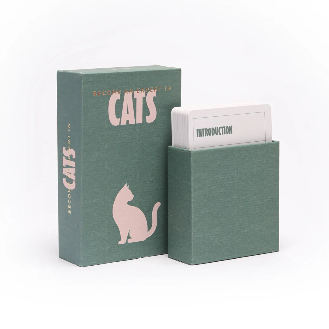 Become an expert Cats