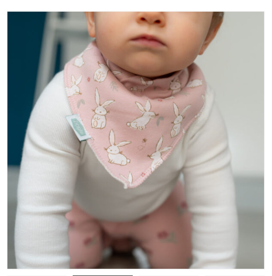 Ziggle Bunnies Pink Bib