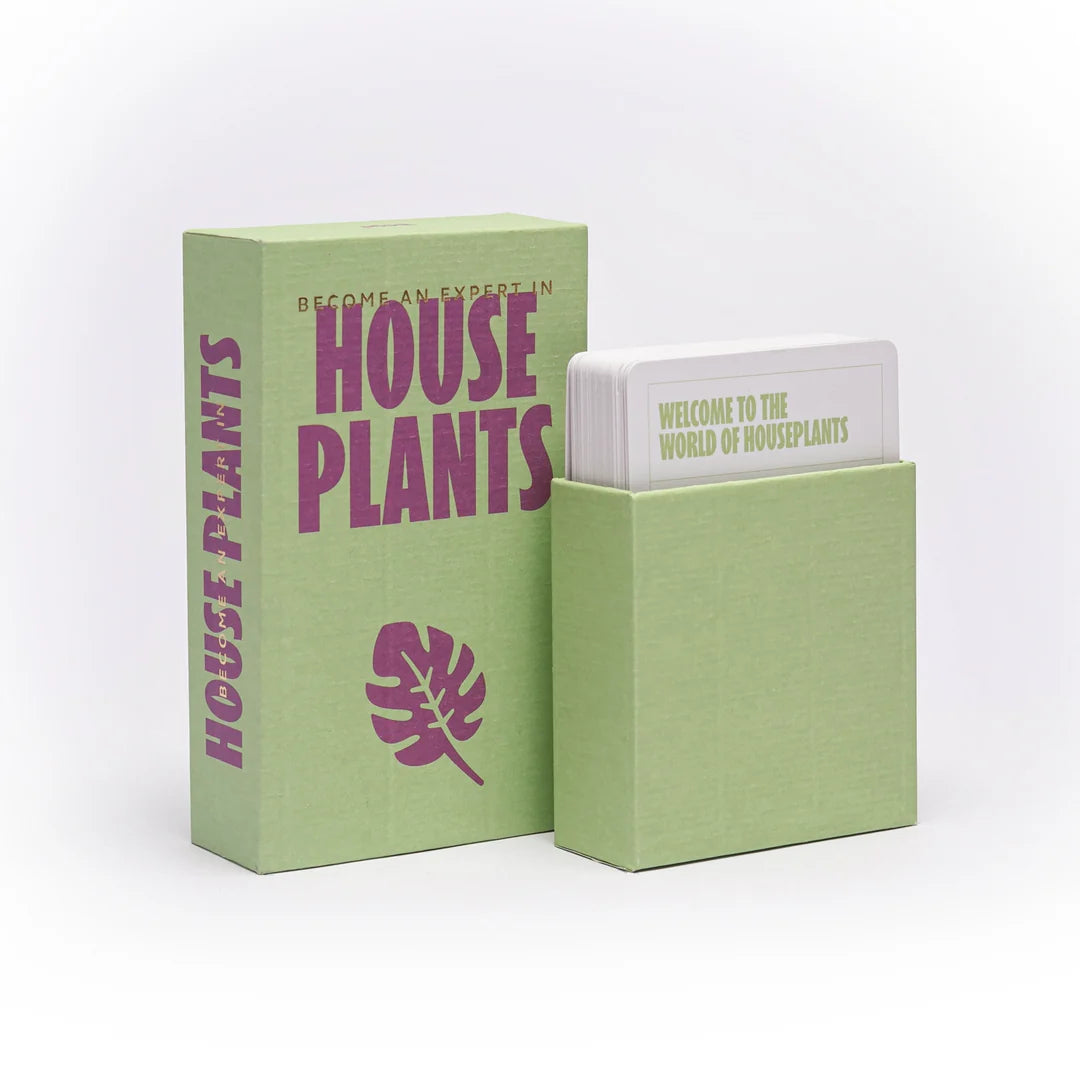 Become an expert House Plants