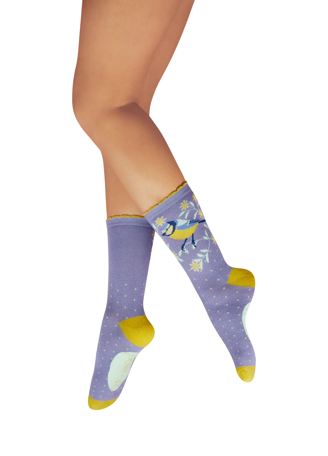 Ladies' Ankle Socks - Blooming Blue Tit
