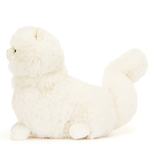 Carissa Persian Cat