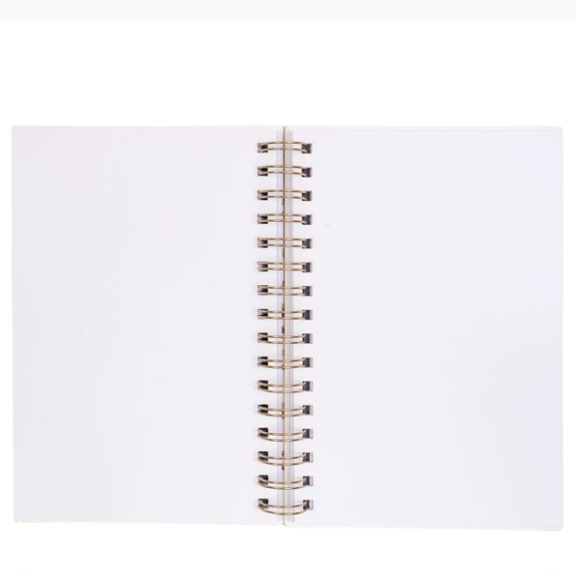 'Pond Dipping' Kingfisher Blank Notebook