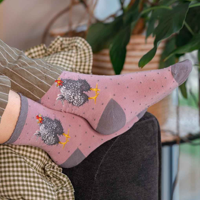 'Curious Hen' Chicken Socks