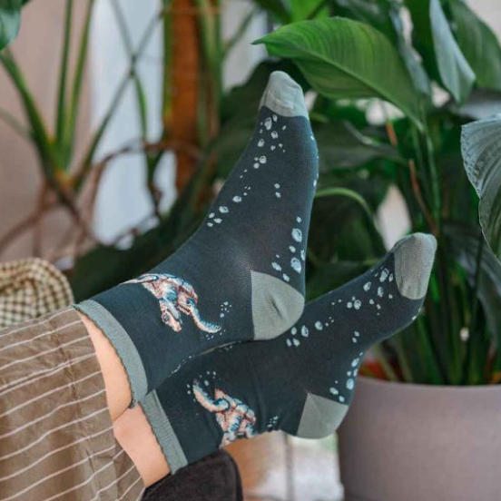 'Swimming School' Turtle Socks