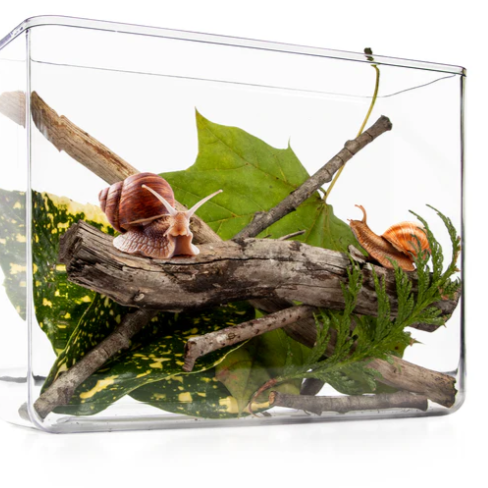 Sale - SNAIL World - My Living World