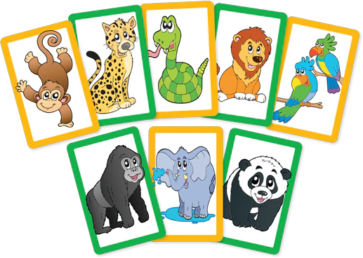 Zoo - Snap & Pairs