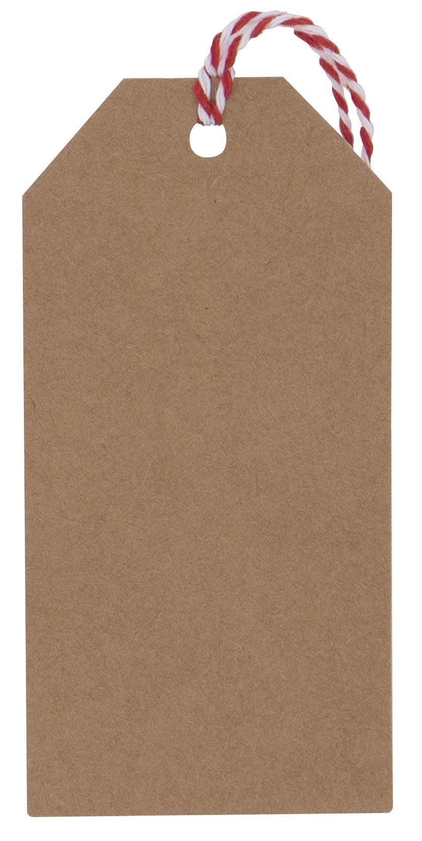 Pack of 6 Luxury Tags - PLAIN KRAFT