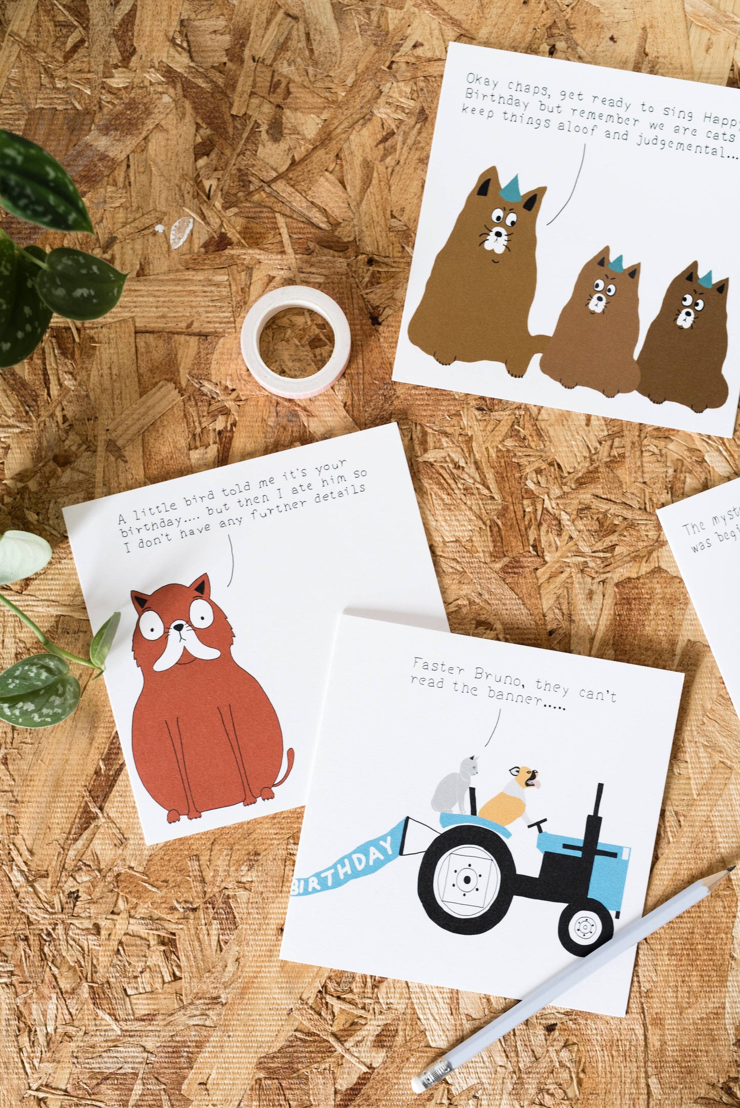 Little Bird Birthday card