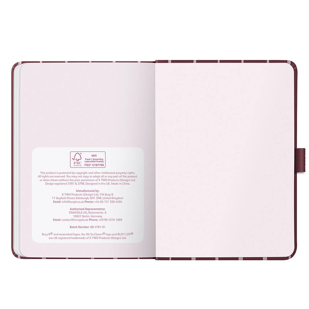 A6 Busy Life Diary 2027 Burgundy Stripe - Busy B