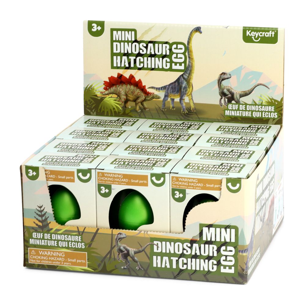 Mini Dinosaur Hatching Eggs