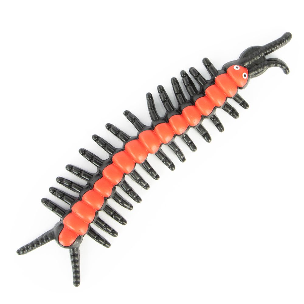 Sticky insect