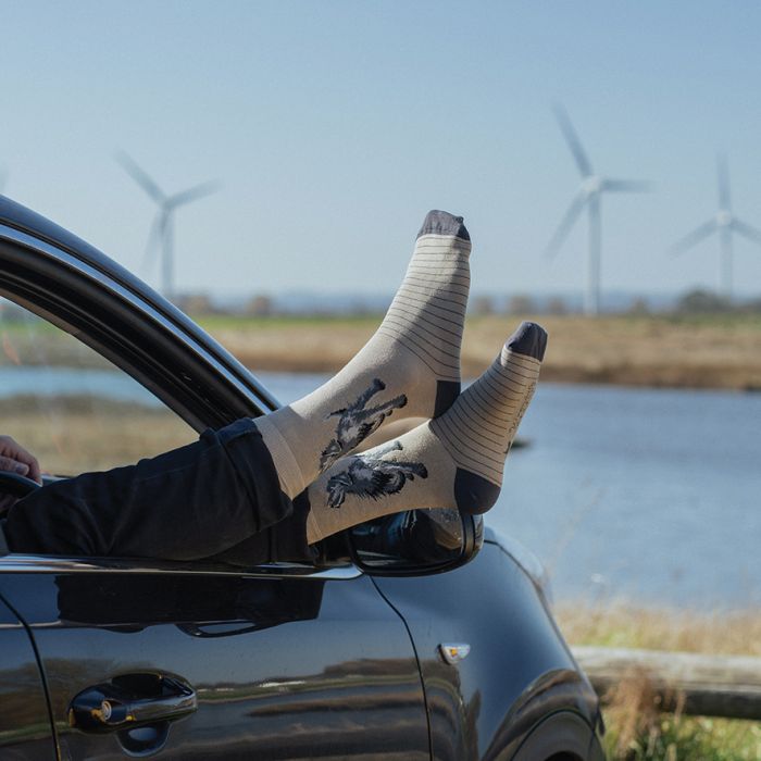 Wrendale - Labrador Men's Socks