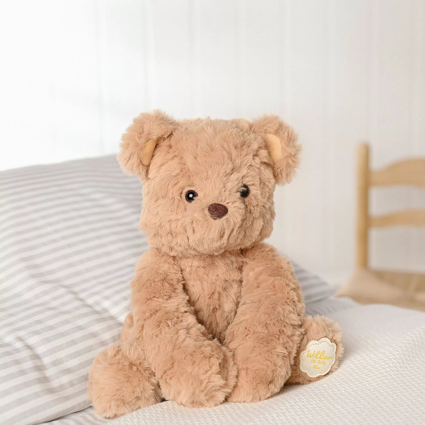 Softies - William The Teddy Bear