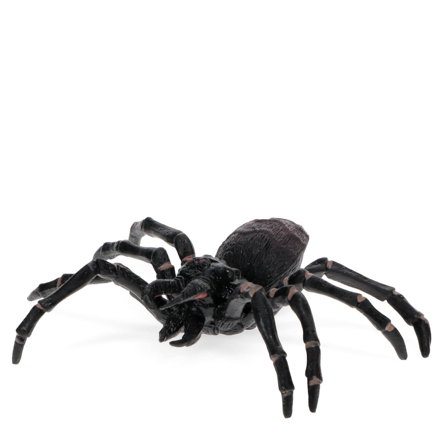 Realistic Tarantula Toy