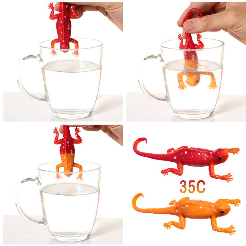 Colour Changing Chameleon Toy