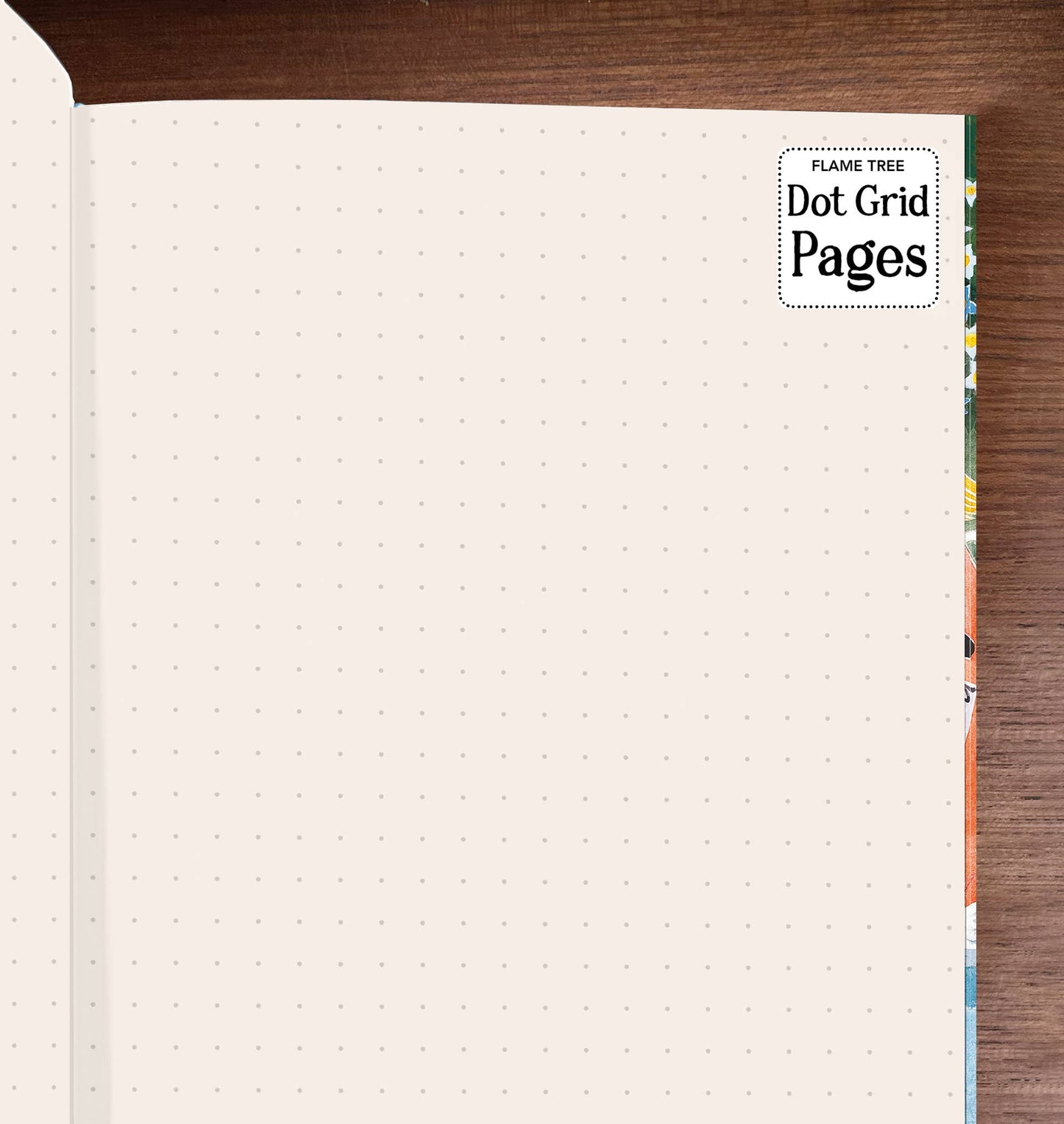 Moomin: Dangerous Journey (Foiled Dot Grid Journal): Flame Tree Dot Grid Notebooks