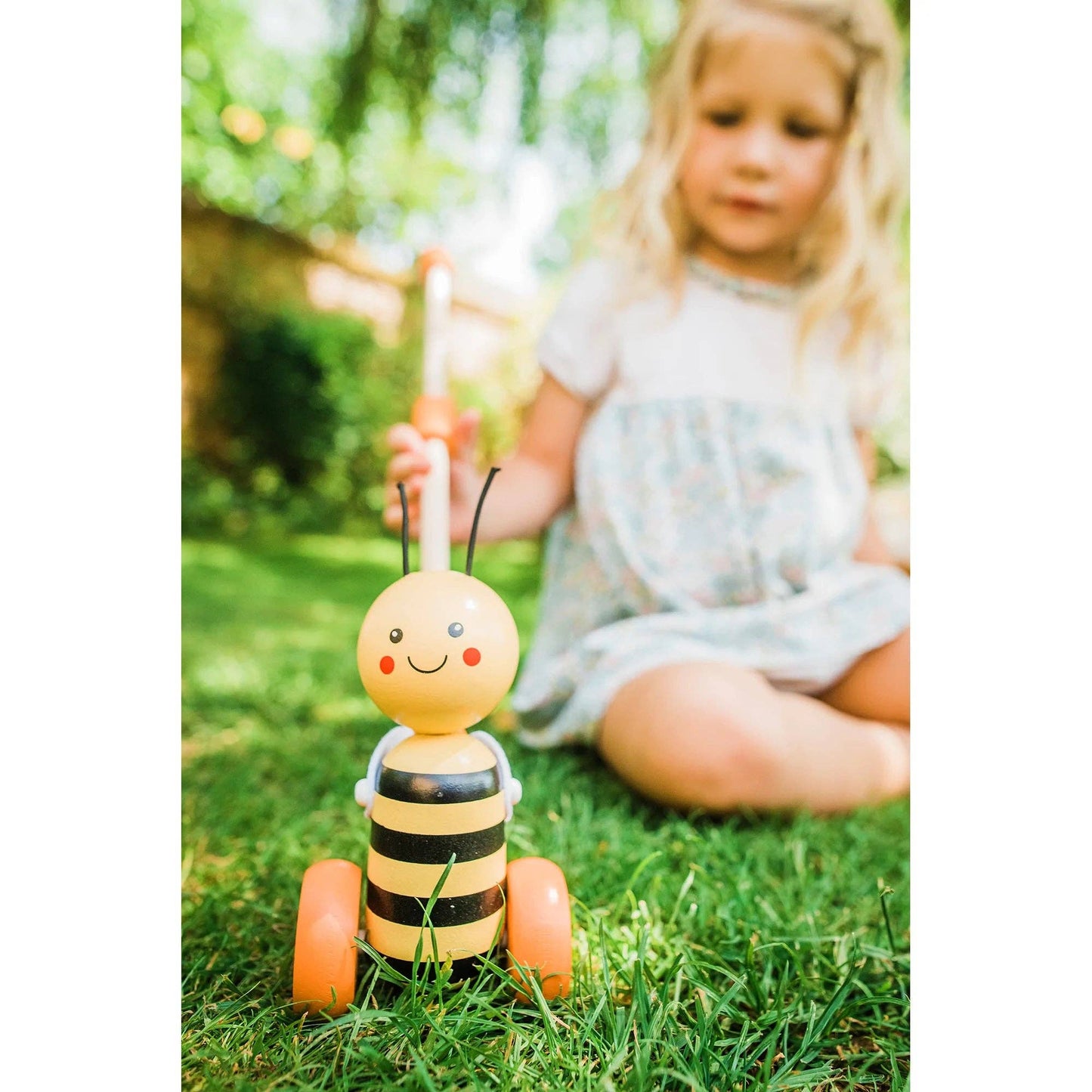 Boxed Wooden Push Along Honey Bee