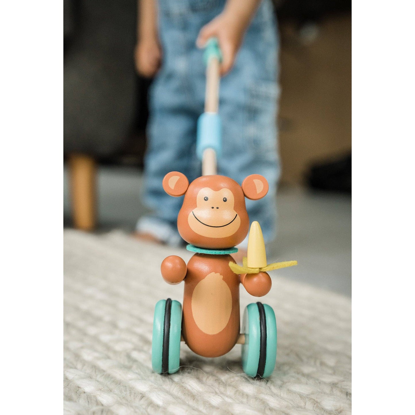 NEW Monkey Boxed Push Along