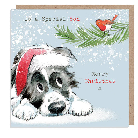Christmas Card - To A Special Son - Border Collie