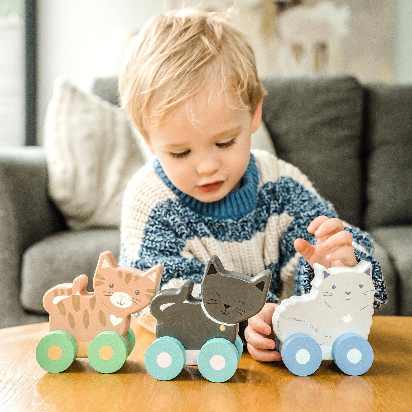 NEW Kitty Push Toys