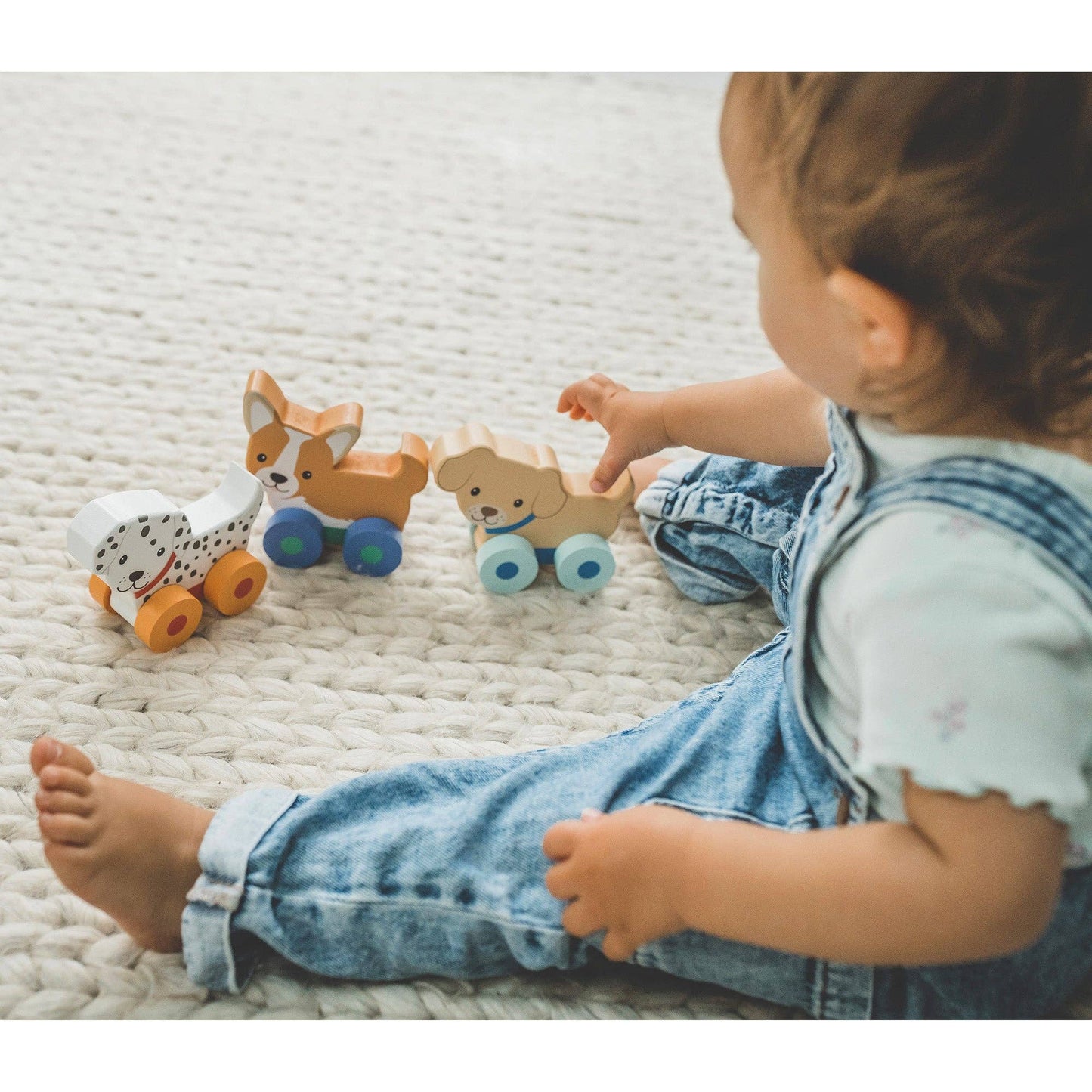 NEW Puppy Push Toys