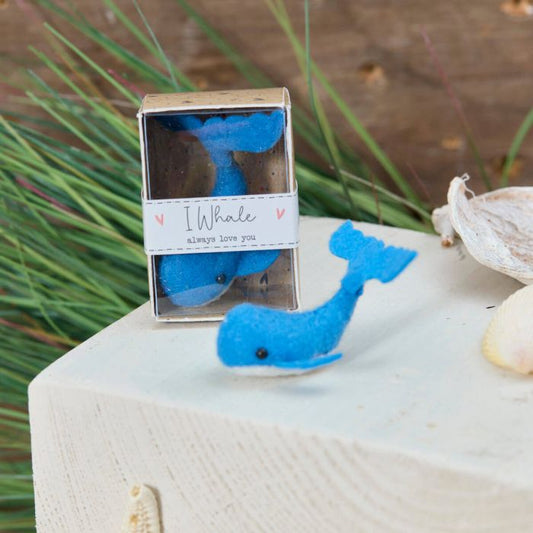 A Tiny Whale Boxed keepsake