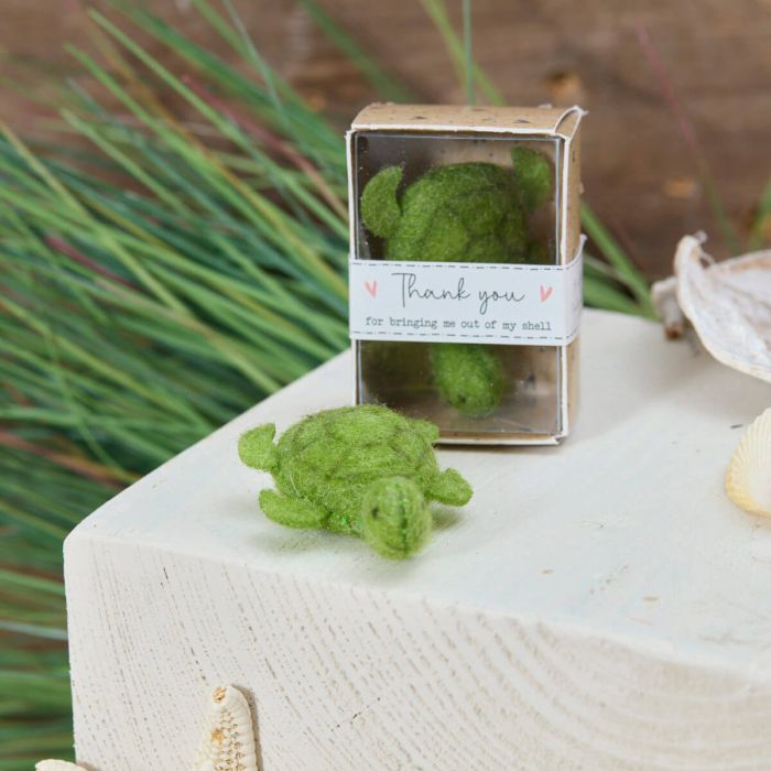A Tiny Turtle Boxed keepsake