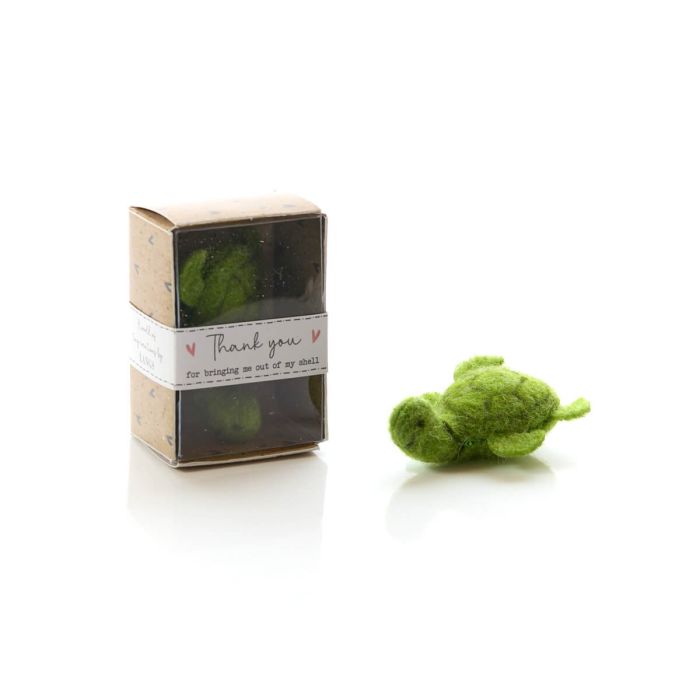 A Tiny Turtle Boxed keepsake