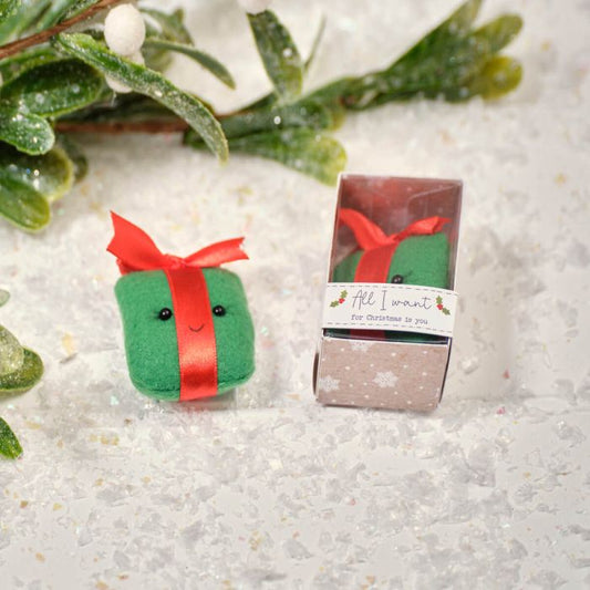 A Tiny Christmas Parcel Boxed Keepsake