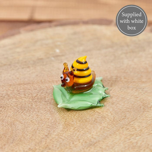 Glass Snail on leaf