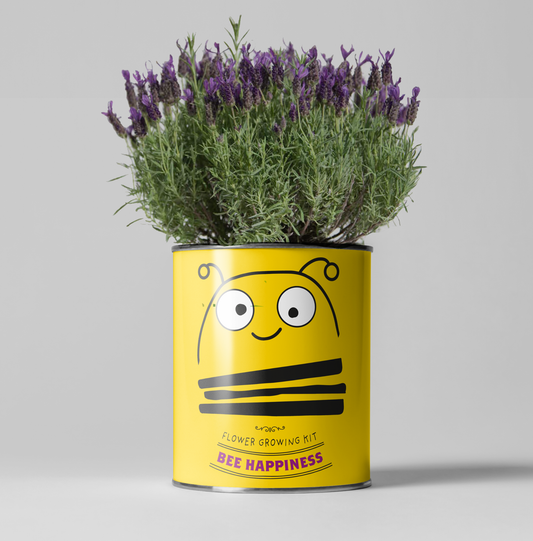 Sale - Big Bee Happiness Eco Plant Grow Kit, Gardening Gift