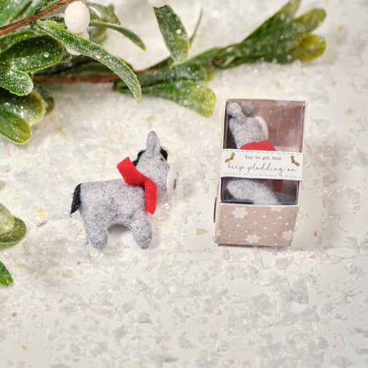 A Tiny Donkey Boxed keepsake