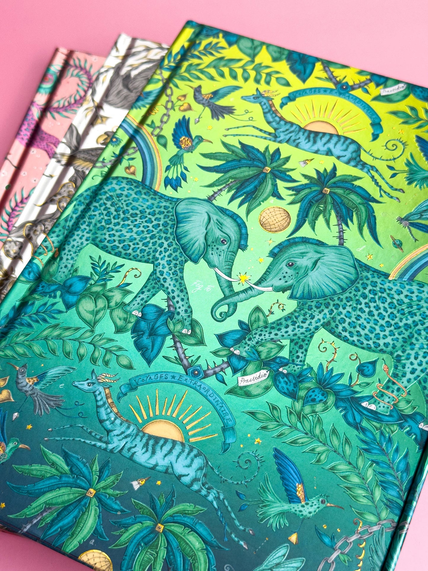 Emma J Shipley: Zambezi (Foiled Journal): Flame Tree Notebooks