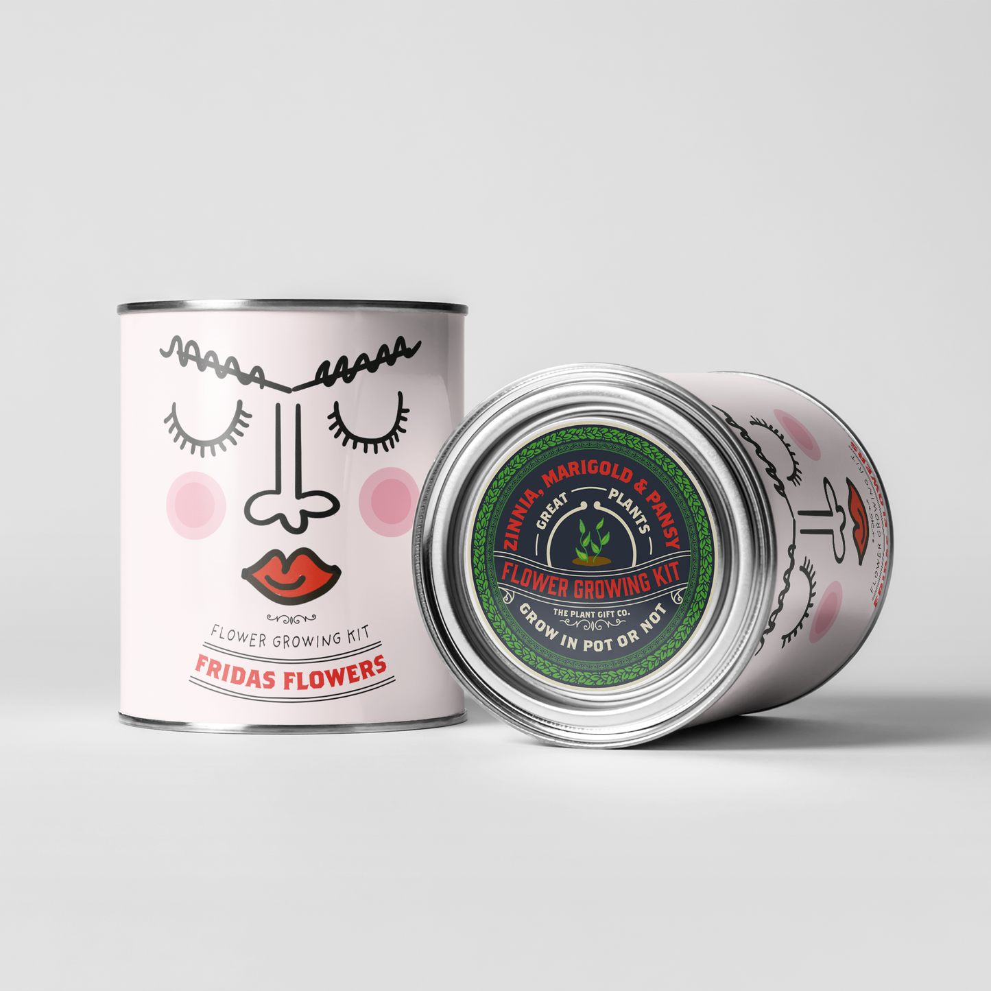 Sale - Frida's Flowers. Eco Grow Your Own Plant, Gardening Kit.