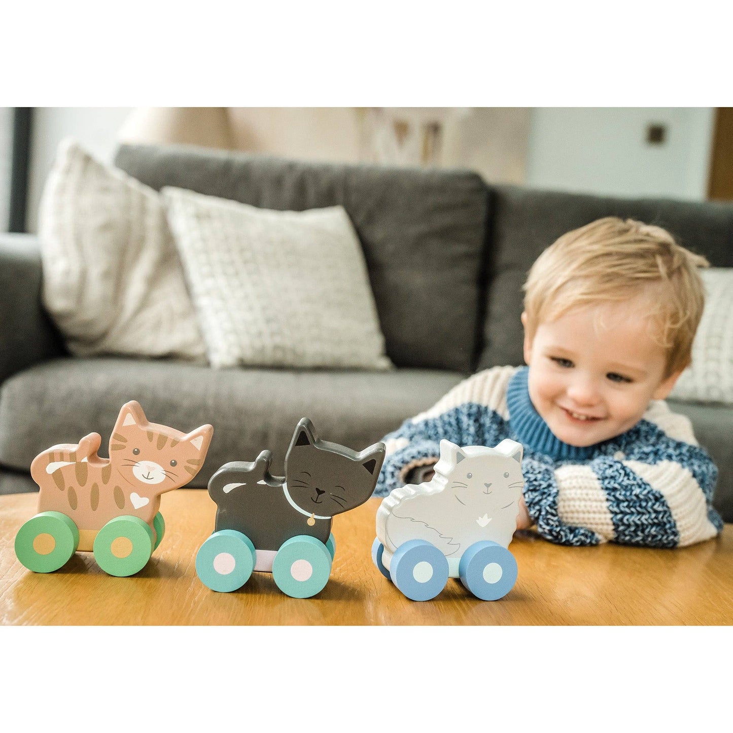 NEW Kitty Push Toys