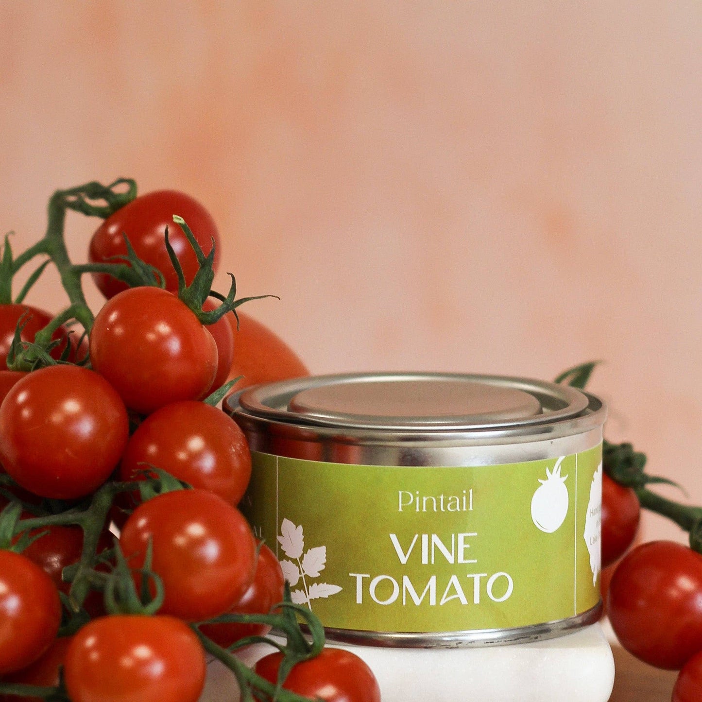 Vine Tomato Paint Pot