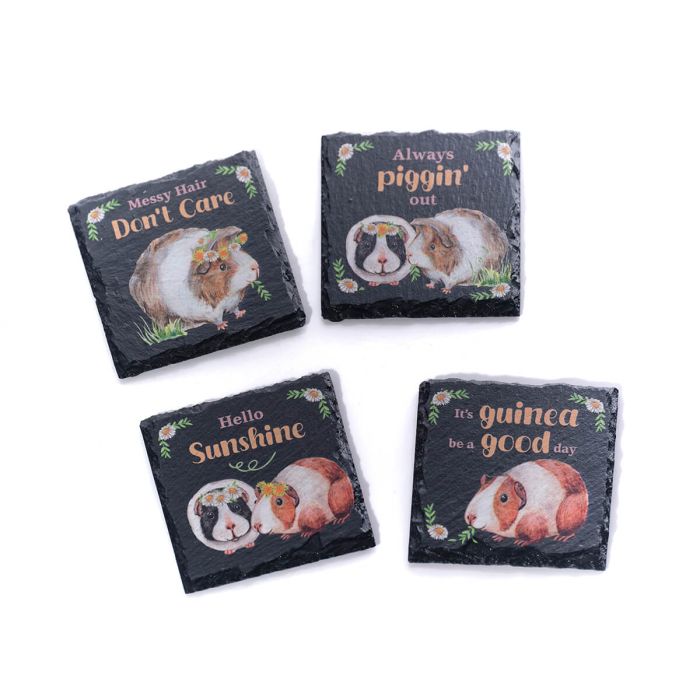 GUINEA PIG SLATE COASTERS 4 ASSTD