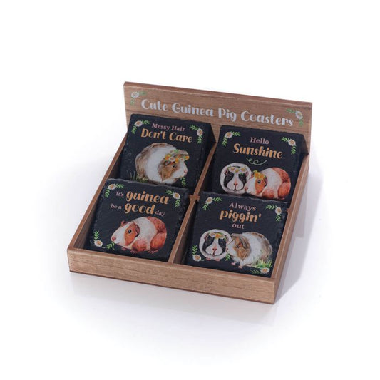 GUINEA PIG SLATE COASTERS 4 ASSTD
