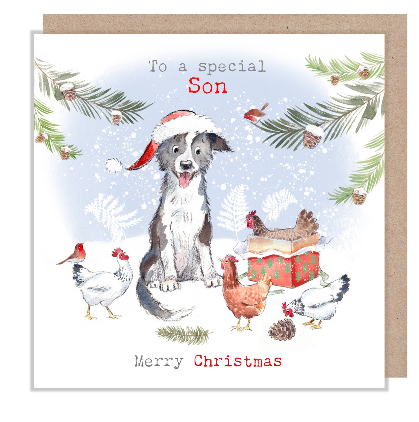 Special Son - Christmas Card - Collie & Hens
