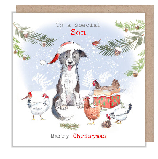 Special Son - Christmas Card - Collie & Hens