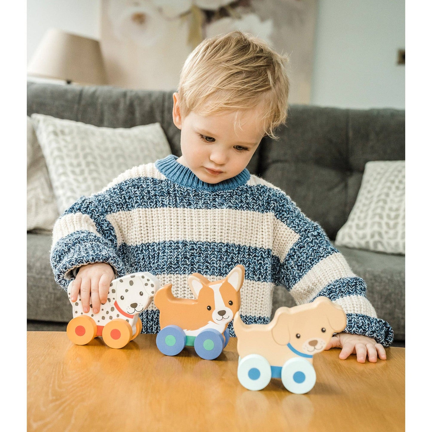 NEW Puppy Push Toys